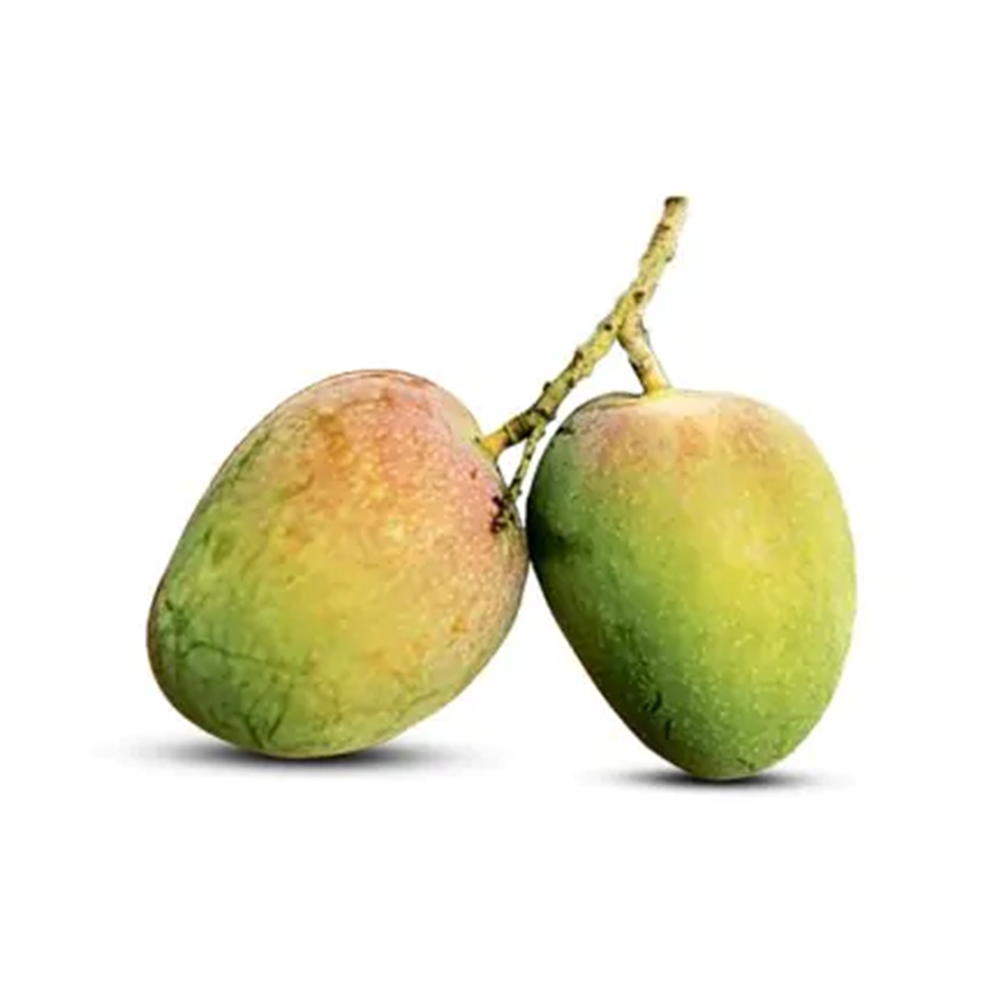 Gopalbhog Mango