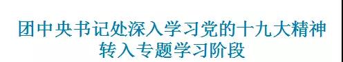 团中央书记处深入学习党的十九大精神转入专题学习阶段